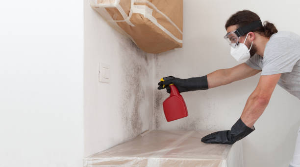 Professional Mold Remediation technician working in Diamond, IL