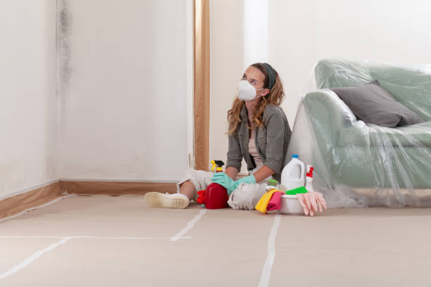 Reliable Mold Remediation contractor in Diamond, IL by 24 Hour Mold Removal